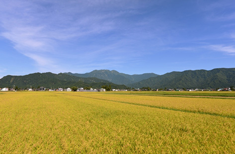 夏の八海山