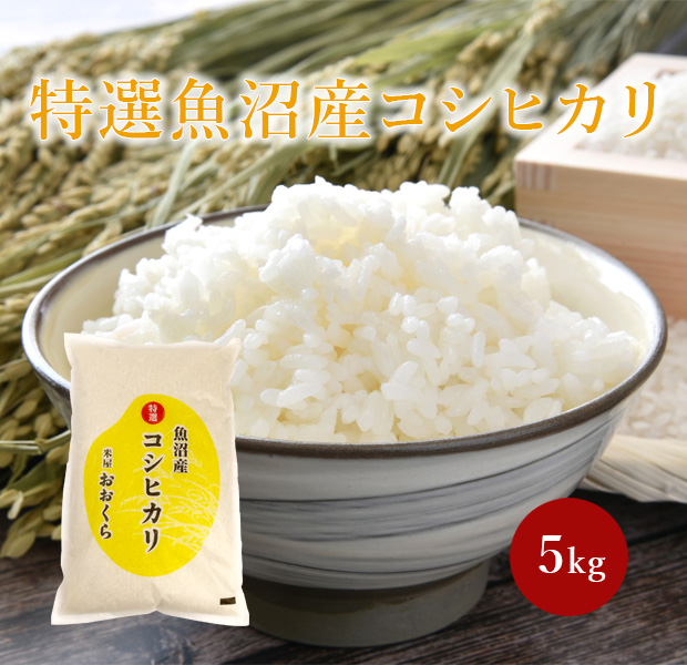 特選魚沼産コシヒカリ