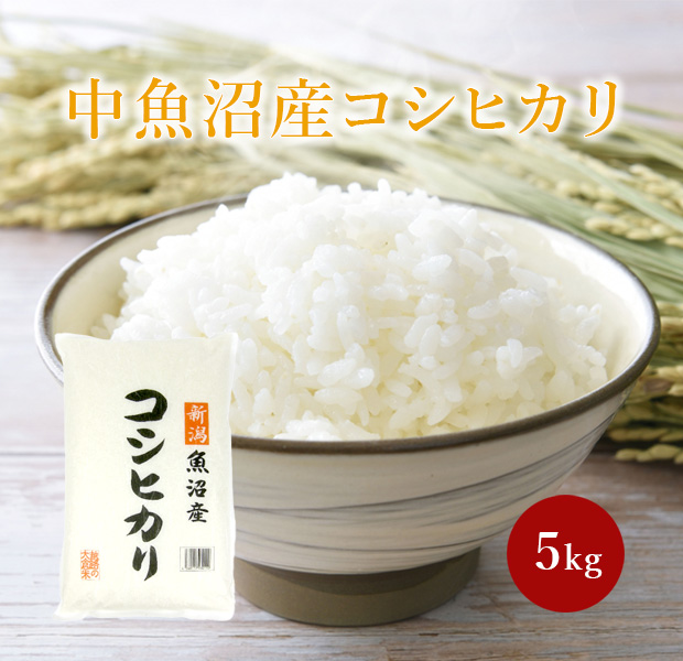 中魚沼産コシヒカリ