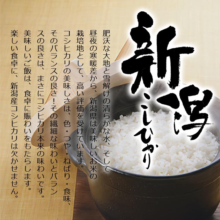 koshihikari-nii-05