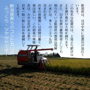 koshihikari-nii-05