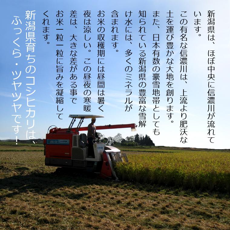 koshihikari-nii-05