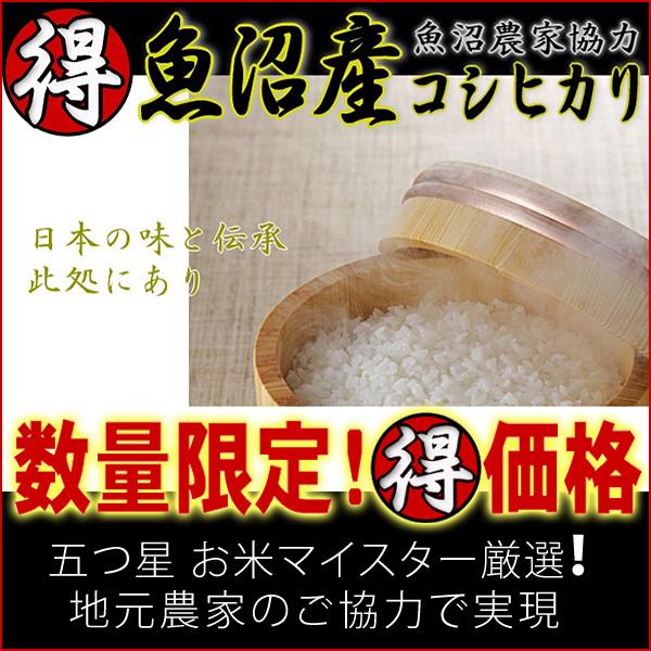 toku-uonuma-05-musen