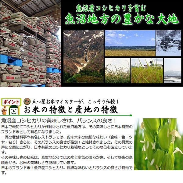 toku-uonuma-05