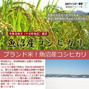 koshihikari-nakauo-05