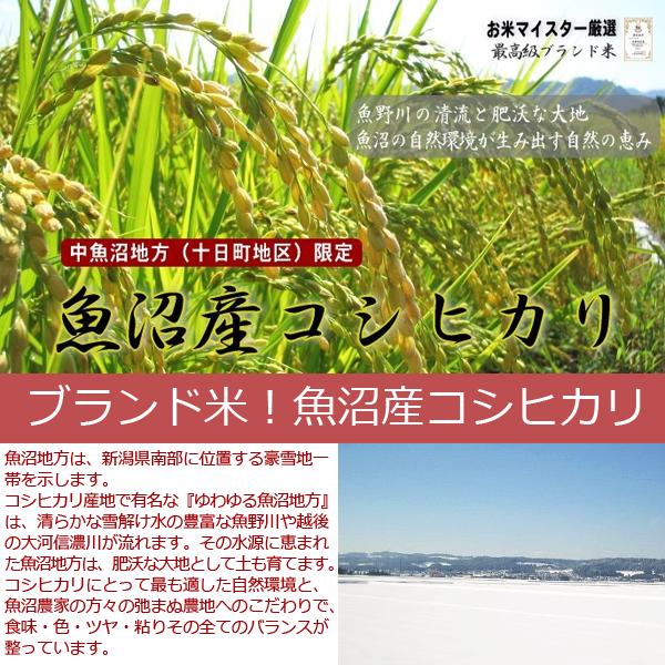 koshihikari-nakauo-05