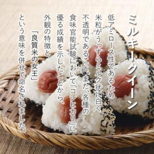 milky-nii-05
