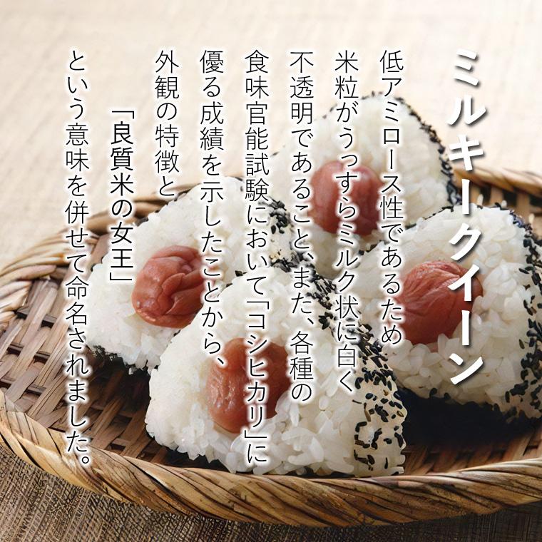 milky-nii-05