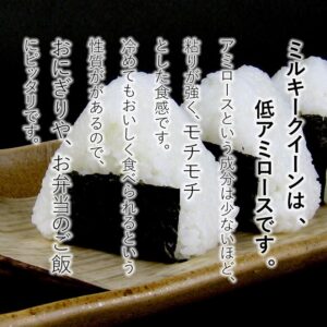 milky-nii-05
