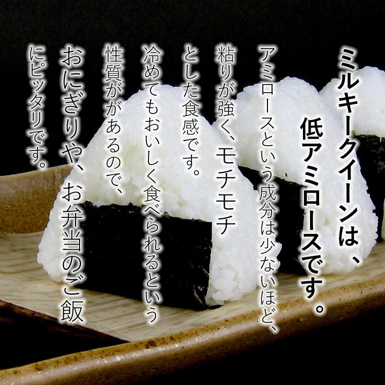 milky-nii-05