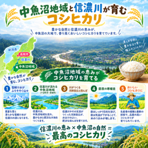 koshihikari-nakauo-05
