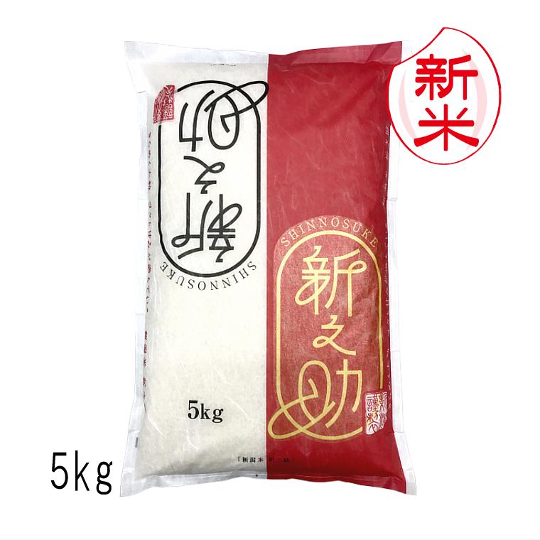 shinnosuke-05