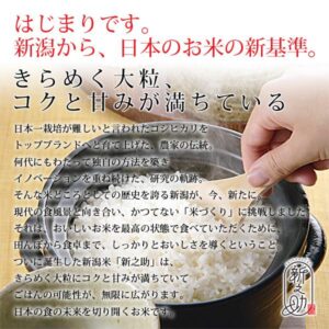 shinnosuke-05
