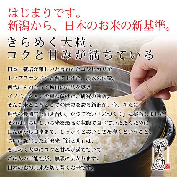 shinnosuke-05