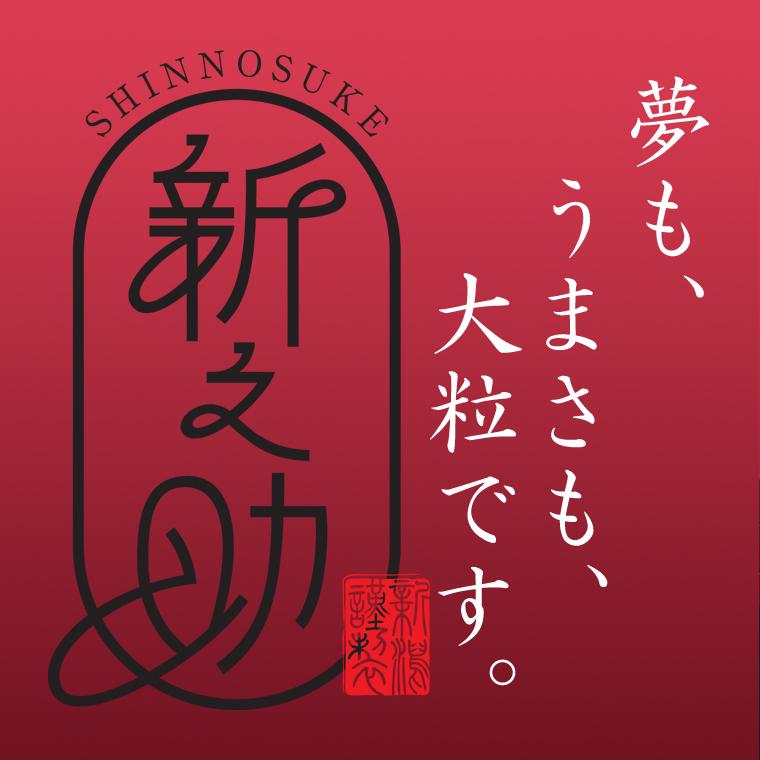 shinnosuke-05-musen