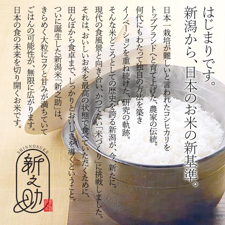 shinnosuke-05-musen
