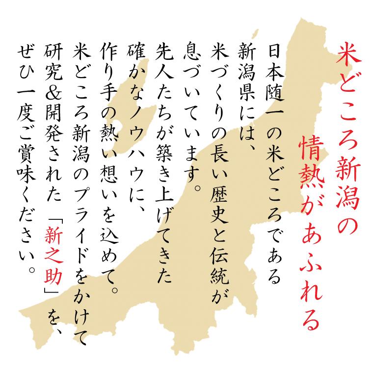 shinnosuke-05-musen