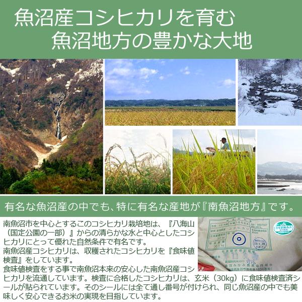 minamiuo-05-musen